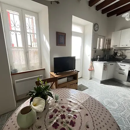 Maison De Caractere Du 17Eme Siecle * Salies-de-Béarn
